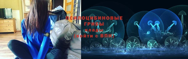 мдпв Покров