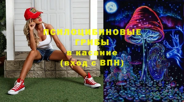 сатива Покровск